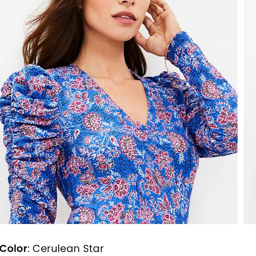 LOFT Garden Shirred Puff Sleeve Top